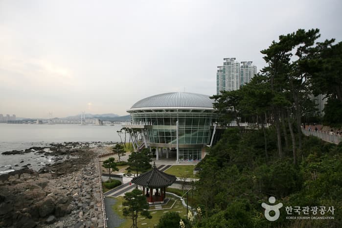 Dongbaekseom Island (동백공원)
