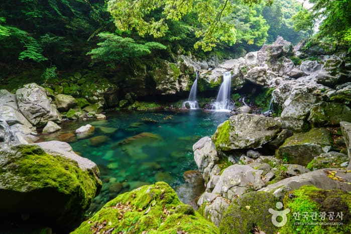 Donnaeko Resort (Wonangpokpo Falls) (돈내코(원앙폭포))