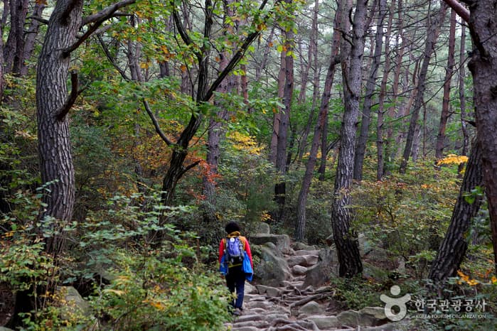 Gyeongju Namsan Mountain (경주 남산)