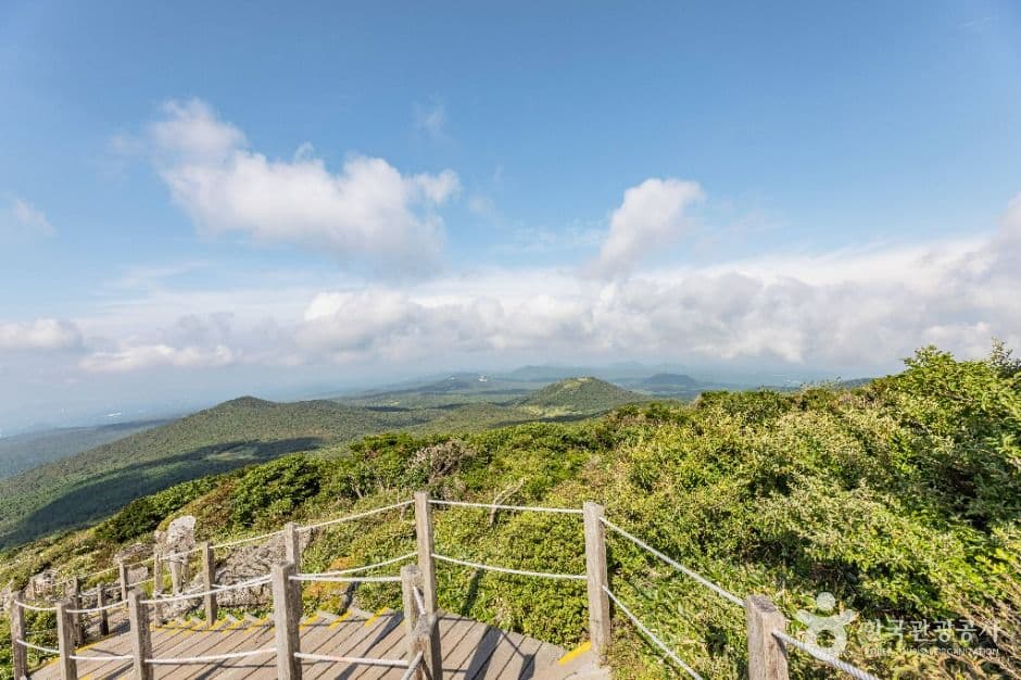 Yeongsil Trail (Hallasan National Park) (한라산 영실)